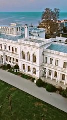 The Cleaner With a Billion Dollar Secret shortical