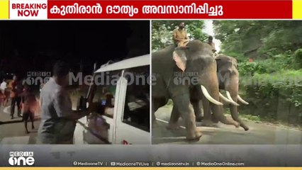 കുതിരാൻ ദൗത്യം അവസാനിപ്പിച്ചു.. ഒറ്റയാനെ പിടികൂടാനുള്ള ദൗത്യം അവസാനിപ്പിച്ച് വനംവകുപ്പ്