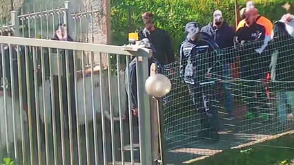 Mimmo Esposito - Oggi abbiamo assistito a qualcosa che nessuno dovrebbe mai vedere (28.11.25)