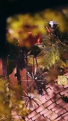 ¡Sírveme! La heredera recogepelotas en Español