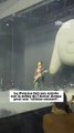 La Femme entre sur la scène de l’Accor Arena pour leur ultime concert !