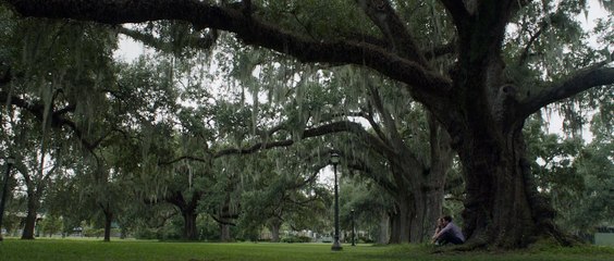 Sylvia returns to her Texas hometown for a friend's wedding. There she meets Esteban, an electrifying stranger HD ( Adventure, Drama, Romance )