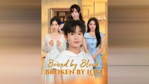 Bound by Blood Broken by Love