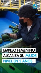 Empleo femenino tiene en octubre su mejor desempeño de los últimos cinco años