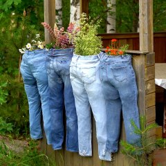 Your home transformation starts in your backyard! 👍 #makeover #plantsoftiktok #diy #greenlife #gardening