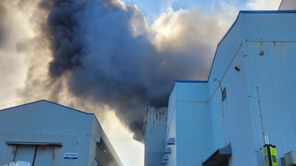 울산 HD현대일렉트릭 공장에서 불...인명피해 없어 / YTN