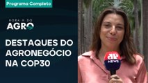 Desenvolvimento rural + sustentabilidade + tendências do setor + clima - 29/11/25 - Hora H do Agro