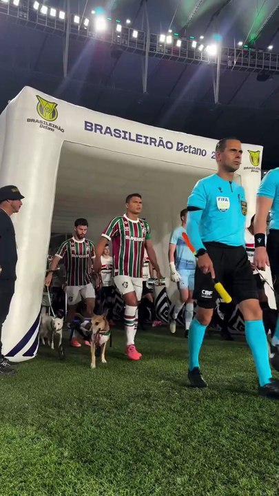 Jugadores de Fluminense y São Paulo campaña de...