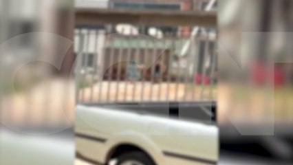 O pau comeu! Vídeo mostra homem que ameaçou idosa levando uma surra no Bairro Santa Cruz