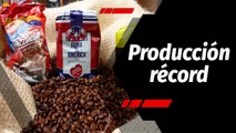 Tras la Noticia | La producción de café venezolano se proyecta a un nuevo nivel