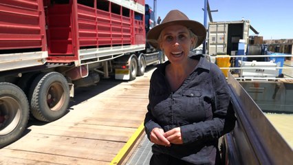 $30 million Margaret the barge transports cattle through central desert