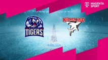 Highlights von Straubing Tigers - Kölner Haie