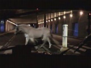 Aaron - Le tunnel d'or