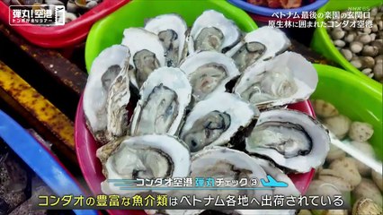 弾丸！空港トンボがえりツアー ベトナム コンダオ空港