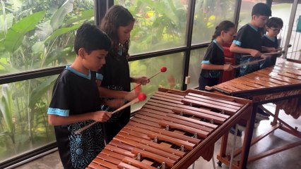 mqn-Ocho niños y una marimba que sueña alto: la Escuela Fidel Chaves llega a la final del FEA-281125