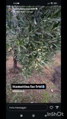 Michele monopoli story