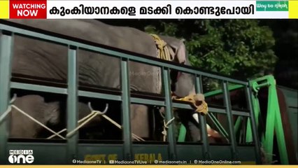 കുതിരാനിൽ ഒറ്റയാനെ പിടികൂടാനുള്ള ദൗത്യം അവസാനിപ്പിച്ച് വനം വകുപ്പ്