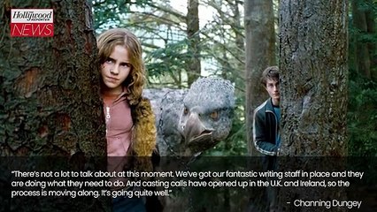 'Harry Potter' Series Will be "More In-Depth" Than the Films, Says Warner Bros. TV Boss | THR News Video