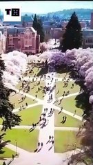 Shhh Don't Tell Full