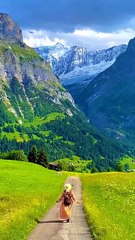 🏞️ Quiet Nature Moments with Calm Piano Harmony