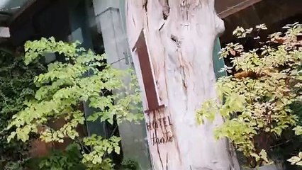 Go Inside THR's TIFF 2025 Suite: Jacob Elordi, Leslie Mann, Paul Mescal, Amanda Seyfried & More | TIFF 2025