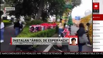 En Veracruz, colocan el 