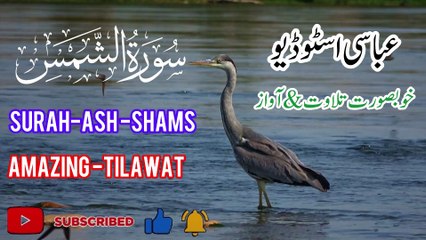 Surah ash shams