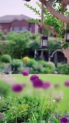 My adoptive mother kicked me out me out but my biological bro the richest CEO took me in