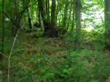 HOMEMADE GHILLIE SUIT TEST 2 AIRSOFT SNIPER