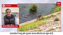 वेस्ट मैनेजमेंट लाएगा उत्तराखंड में ह्यूमन एनिमल कॉन्फ्लिक्ट में कमी, ये है प्लान