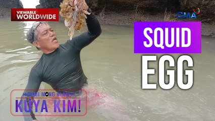 Itlog ng pusit, minumukbang lang ng hilaw!? | Dami Mong Alam, Kuya Kim!