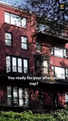 Bring Mommy Back, Alpha Daddy Full Movie [EngSub] - FULL