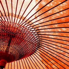 【Koto Music】 Showers in Edo