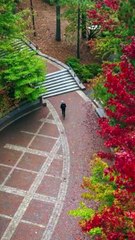 Michigan to Virginia car Shipping!