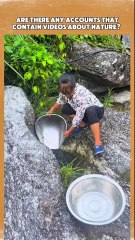 Fish that are very abundant