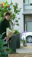 Flash Marriage at 40 My Second Chance Full Episode