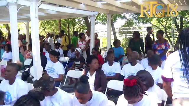 Lansman ofisyèl pati politik DEHFI