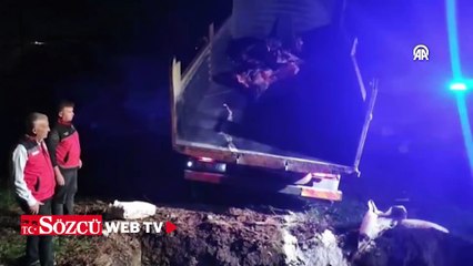 Hatay'da 'sağlık raporsuz' 1 ton et imha edildi