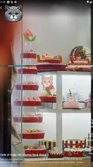 Trails of Hope: His Journey Back Home Full Movie