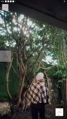 The Triple Life Of My Accidental Husband Full Movies