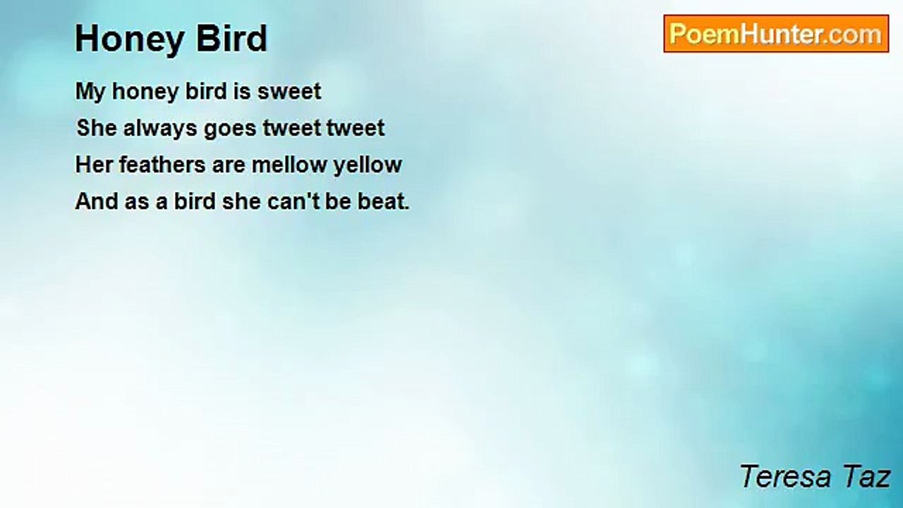 Teresa Taz - Honey Bird