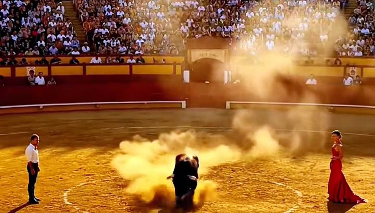 20251124_233158Dust and Gold: Arena Bull Challenge