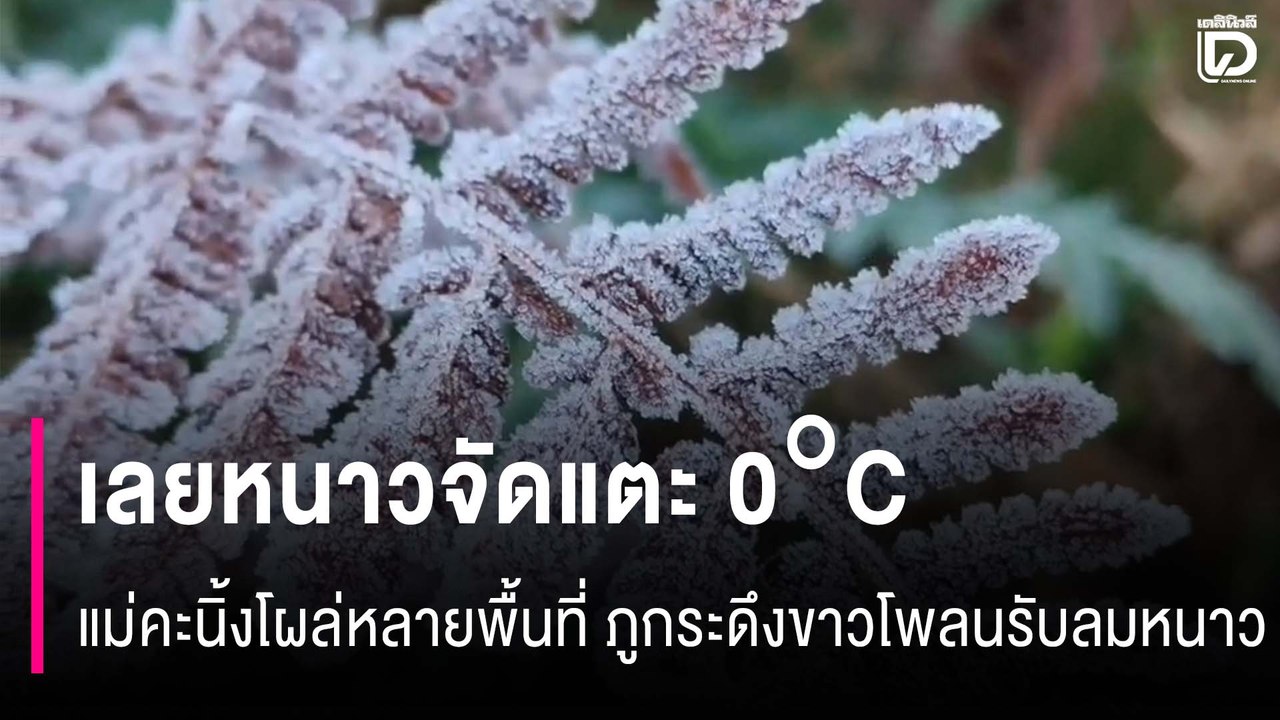 เลยหนาวจัดแตะ 0°C แม่คะนิ้งโผล่หลายพื้นที่ ภูกระดึงขาวโพลนรับลมหนาวแรกของปี | HOTSHOT29/11/68