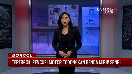 Tepergok! Curanmor di Toko Hewan Todongkan Benda Mirip Senpi | BORGOL