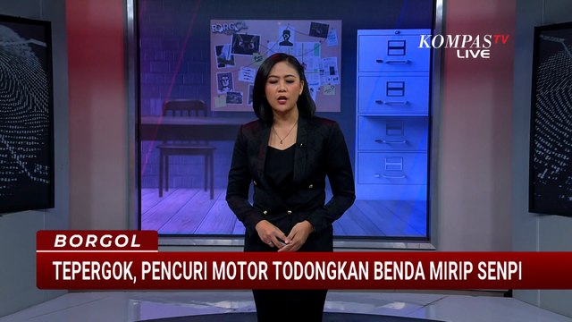 Tepergok! Curanmor di Toko Hewan Todongkan Benda Mirip Senpi | BORGOL