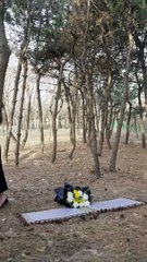 Emily unexpectedly inherits a huge fortune and is determined to uncover the truth. #drama