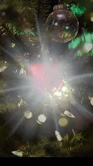 Oops! I Married My Forgetful Ex-Boyfriend Full Movie