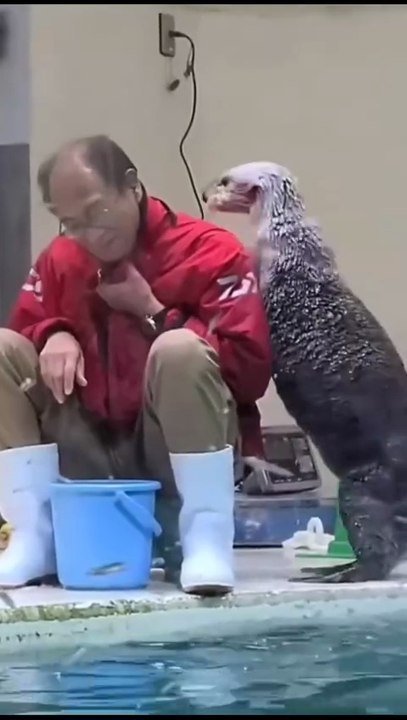 Funny video