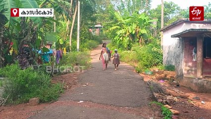 വോട്ടിനേക്കാൾ വലുത് വിശപ്പ്; "ആരെങ്കിലും കൊണ്ടുപോയാൽ വോട്ട് ചെയ്യാം", കാസർകോട്ടെ കൊറഗ കോളനി വേറിട്ട കാഴ്ച