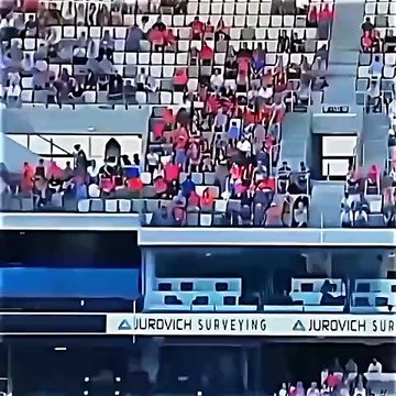 Top Cricket Scoop Shots | Unbelievable Skill & Timing!